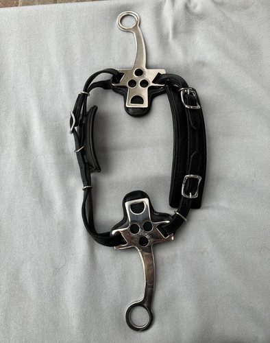 Hackamore schwarz warmblut - hackamore,, schwarz,