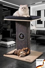 Kazenkratzbaum | Sisal