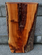 Pflaume Zwetschge Bohle mit