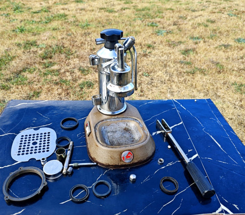 Pavoni europiccola - pavoni,