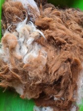 1000Gramm Alpakawolle, A-Wolle, gescheckt(35), Rohwolle, Bastelwolle, Füllwolle,