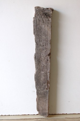 Treibholz schwemmholz - treibholz,