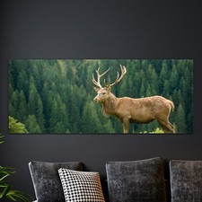 Kunstdruck Wandbild Deko