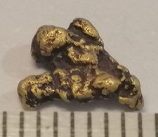 XXL Goldnugget, 7,1 mm