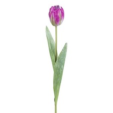 Kunstblume Tulpe offen, 6er
