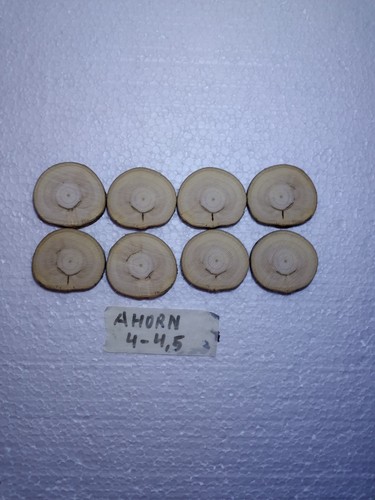 Baumscheiben ahorn 4 5 - ahorn,