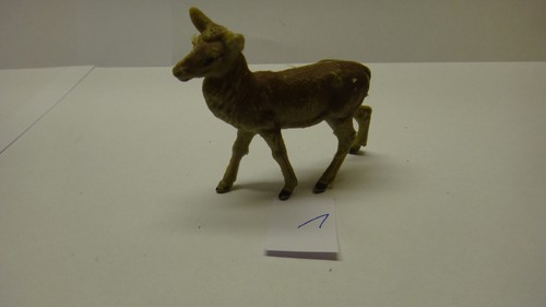 Reh sau zoo - 2,