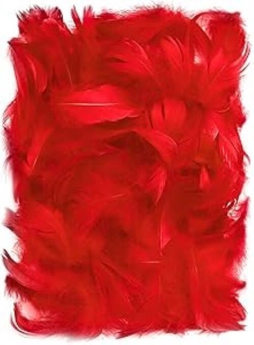 150 stück rot deko federn - federn, 10g