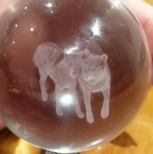 Elegantes Wolfspaar 3D