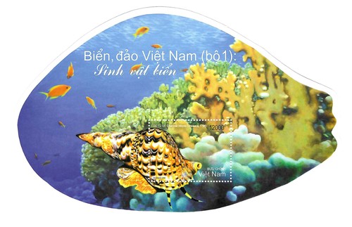 Vietnam meeresleben - vietnam:,