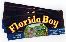 25 Florida Boy Brand