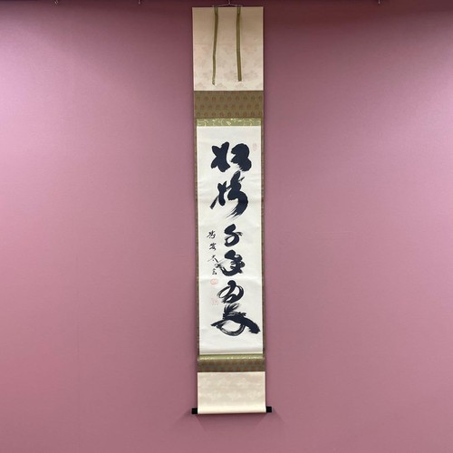 Shoju sennen midori zen - shoju,