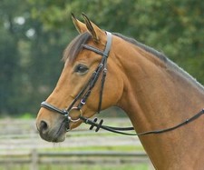 Trense ALLROUND-Hannover Busse