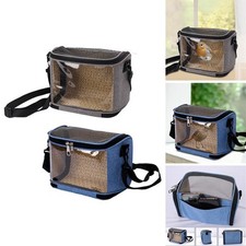 Haustier Vogel Papagei