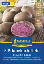 Pflanzkartoffel Blaue St