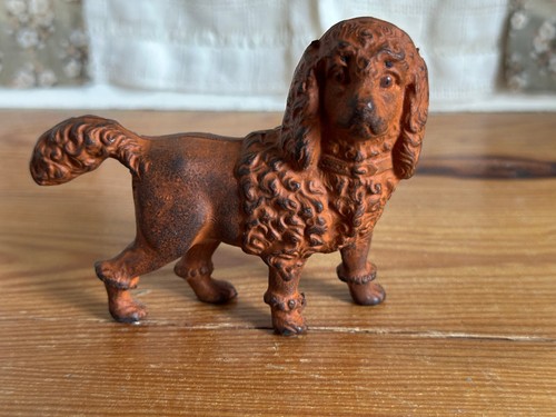 5025 4125 alter - alter, hund