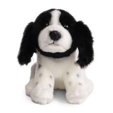 Springer Spaniel Welpe HUND