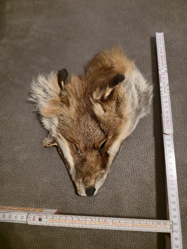 Echt pelz fuchs maske - pelz,