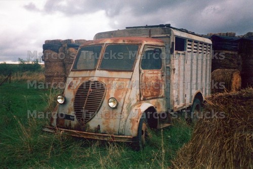 Lkw foto peugeot - foto,