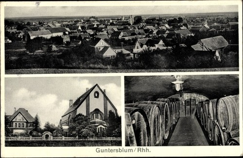 Guntersblum rhein - guntersblum, am