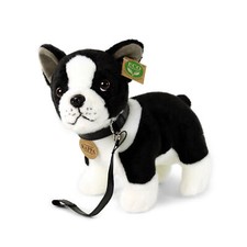 Boston Terrier H=24 cm, L= 26