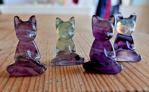 Minkaklecks yoga katze - yoga,