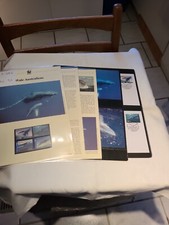 WWF komplettes Kapitel 385