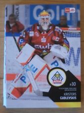 DEL 2023/24 Fischtown Pinguins Bremerhaven Team Set Hauptserie Komplett 25Karten