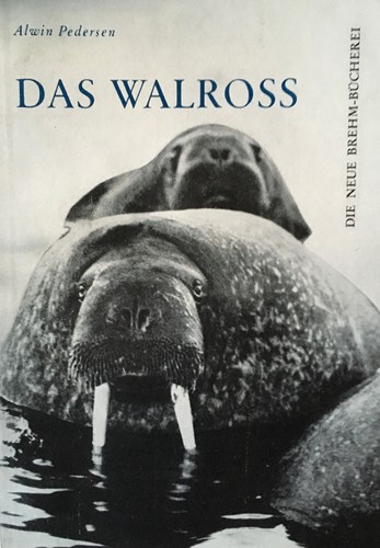 Alwin pedersen das walroß - alwin,