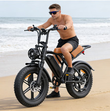 2026 20" E-Bike 250W 48V