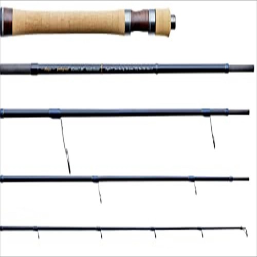 Tenryu spinnrute rayz - tenryu,