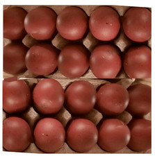 🥚10 Maran Schwarz/Gold