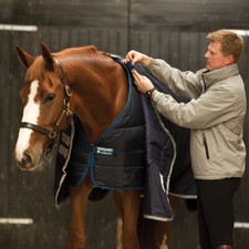 Horseware Unterdecke Liner