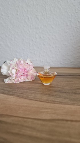 Aramis tuscany per donna - –,