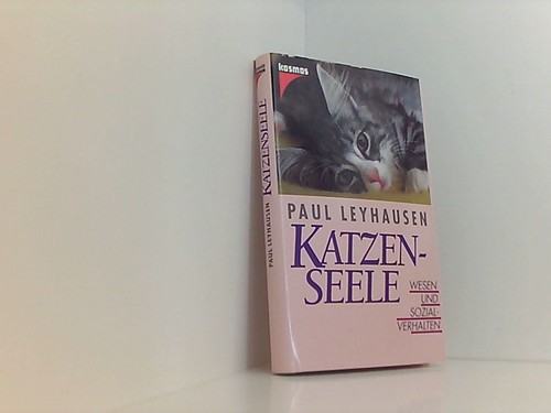 Katzenseele wesen und - wesen,