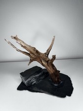 Aquarium Deko Wurzel auf Schieferplatte – gebraucht
