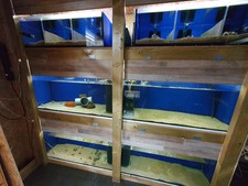 Zuchtanlage – Aquarium