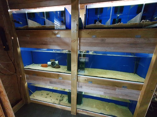 Zuchtanlage aquarium - –,