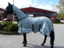 TOP Fliegendecke Ekzemerdecke