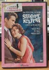GLANZ IM GRAS DVD ELIA KAZAN