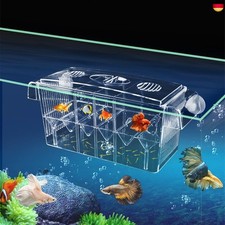 Fischzuchtkasten ablaichkasten - fischzuchtkasten,