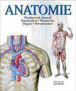 Anatomie wunderwerk mensch - anatomie.,