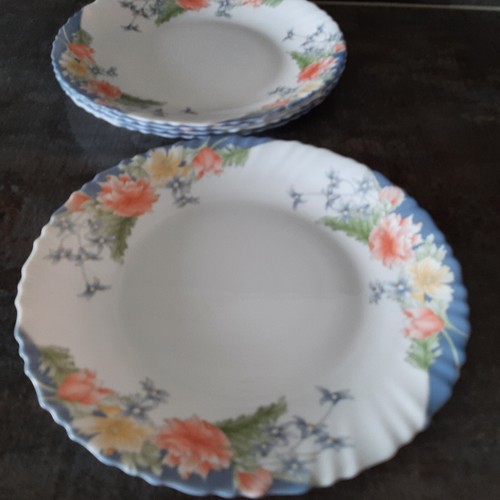 Arcopal france hartglas - arcopal,