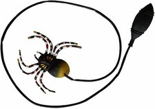 Hüpf Spinne gestreift