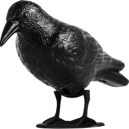 Vogelabwehr taubenschreck rabe - vogelabwehr,