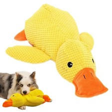 Ente gelb Hund Dog