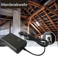 Marderabwehr Dachboden mit