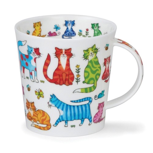 Colourful crew cat katzen - crew,