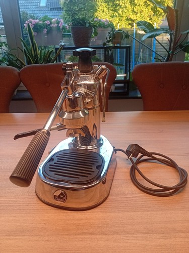 Pavoni europiccola - la,