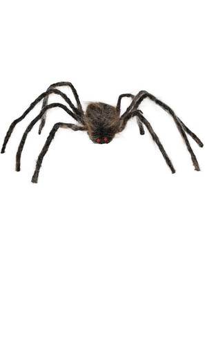 Braune spinne deko - spinne,